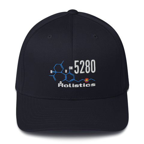 5280Holistics Curved FlexFit Cap